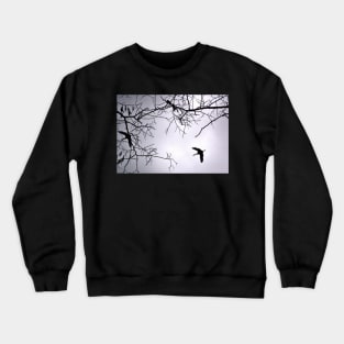 Flying Backlit Sandhill Crane (Grus canadensis) Crewneck Sweatshirt